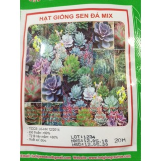 HẠT GIỐNG SEN ĐÁ MIX nhập khẩu-  chuyên dụng.