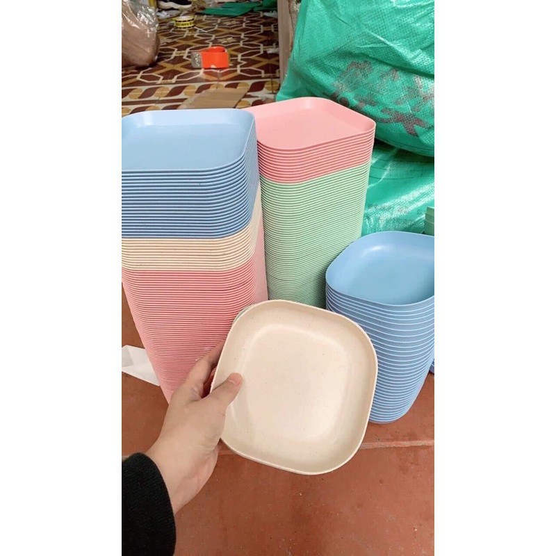 SET 8 ĐĨA LÚA MẠCH NHIỀU MÀU