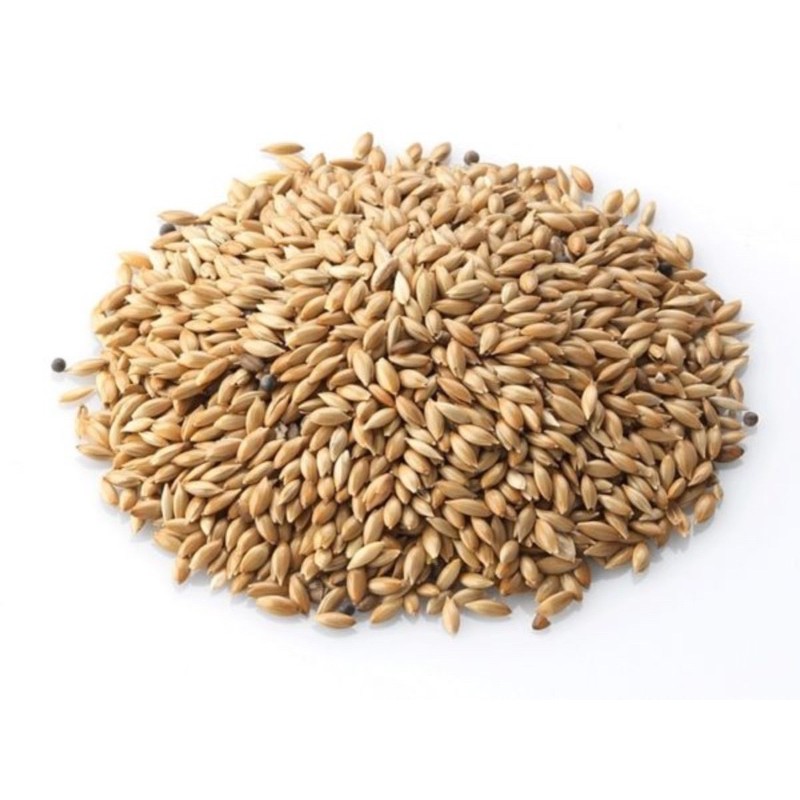 2kg hạt láng Deli Nature [thức ăn: yến hót, chim cảnh, hamster...] - xuất xứ: Bỉ 🇧🇪🇧🇪🇧🇪
