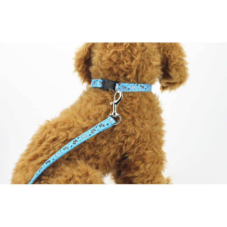 Dây dắt cho chó lớn từ 5-15kg vòng qua cổ