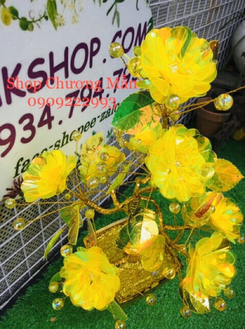 100G Bông Tuyết 6 Cánh [2 Màu Dạ Quang] Mới