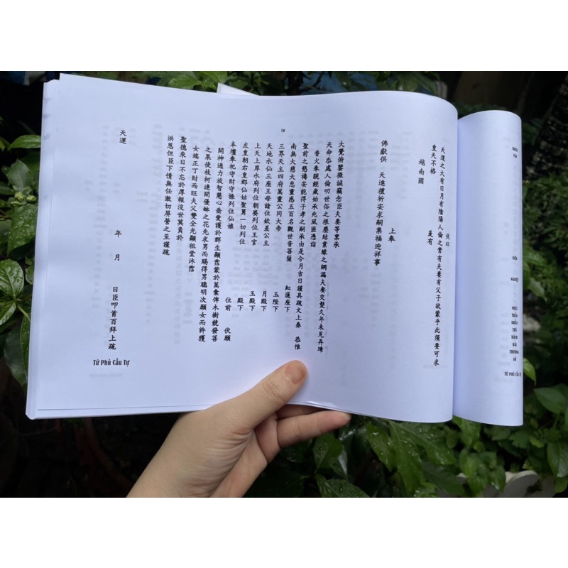 100 lòng sớ Hán - Việt tham khảo