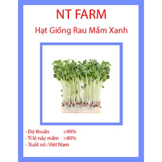 hạt giống rau mầm củ cải xanh TXBTD DDXL