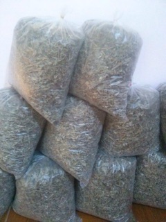 Chè dây( chè Tuyết) cao nguyên Sìn Hồ