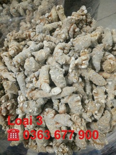 Củ tam thất ( 1kg ) uy tín chất lượng