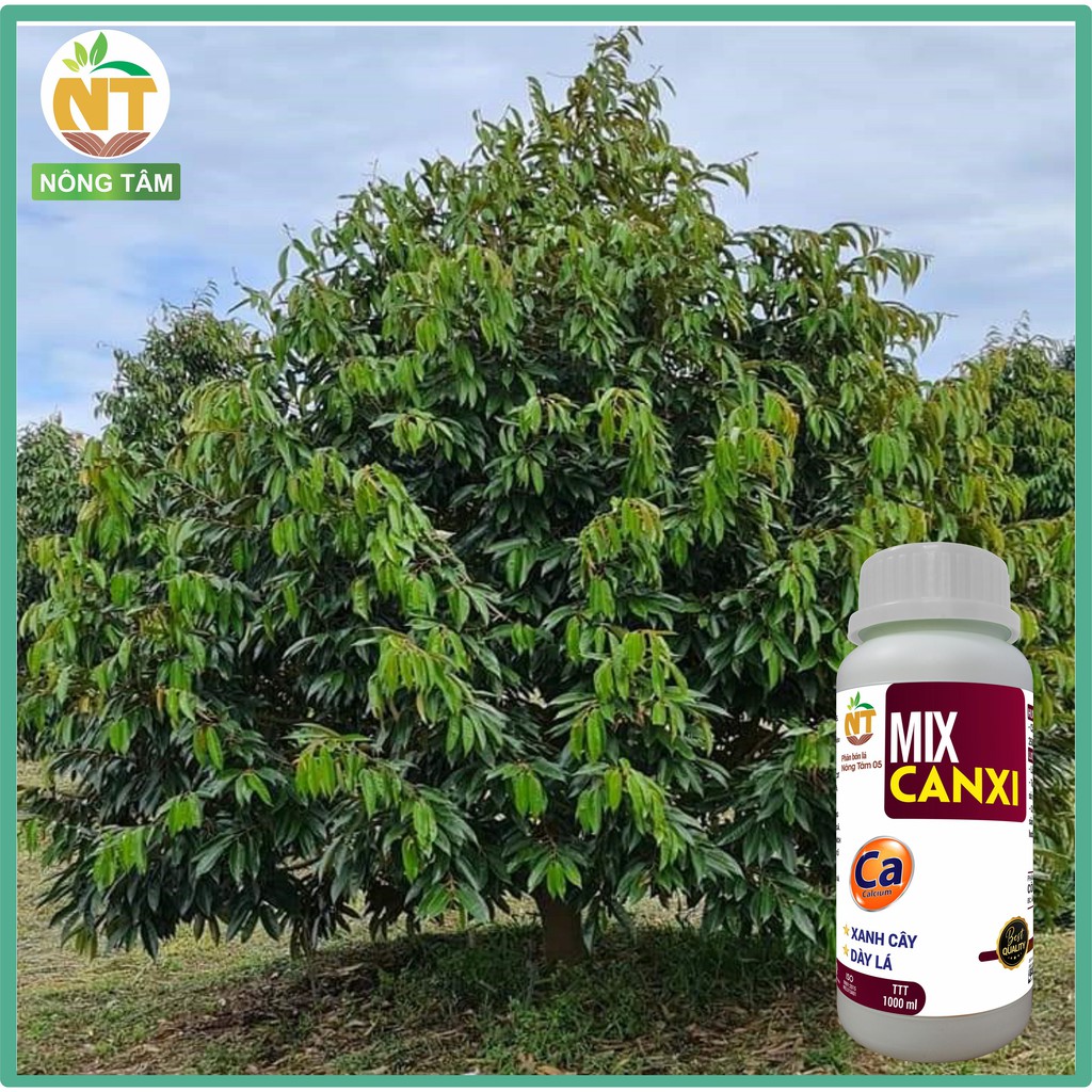 Mix Canxi cứng cây, dày lá chuyên dùng cho cây ăn trái, cây công nghiệp, chai 1000ml