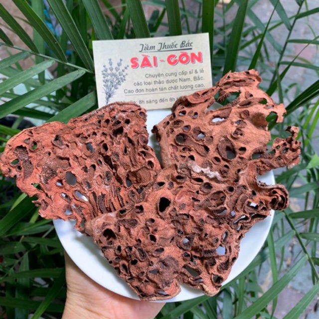 Cây Bí Kỳ Nam Khô 500g