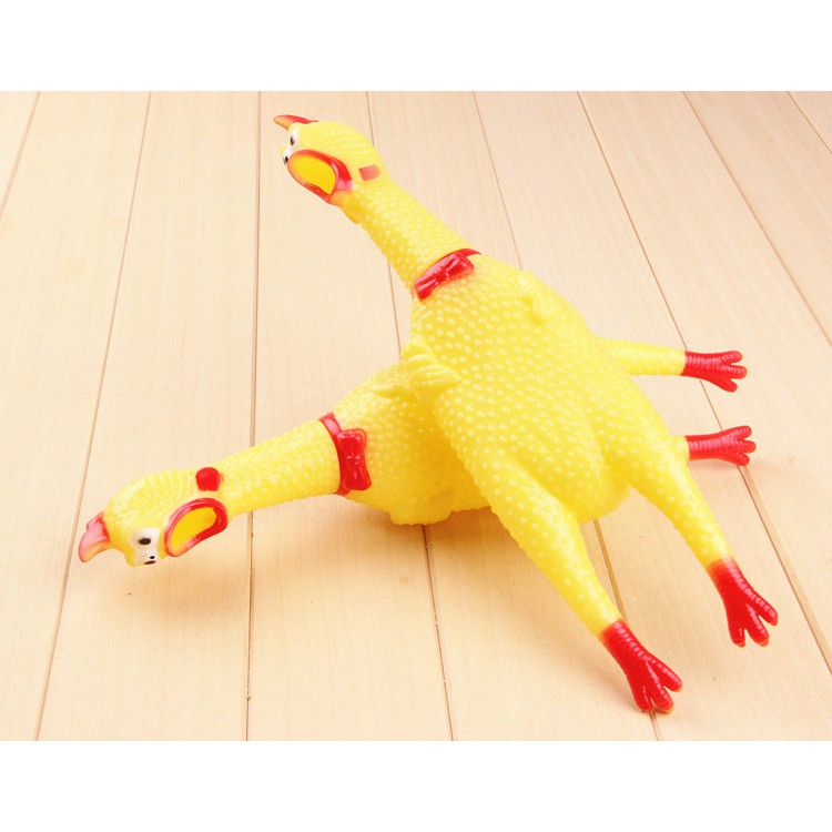 Gà gào thét  30cm và 40cm