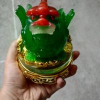 Cóc Kỳ  các cỡ cac màu