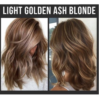 Thuốc Nhuộm Tóc Màu Vàng Khói Tây 8.31 Light Blonde Ash Gold