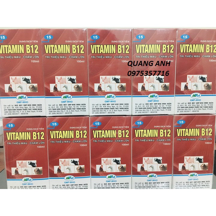 Vitamin B12 giúp giải độc chống sốc cho Lan chai 100ml