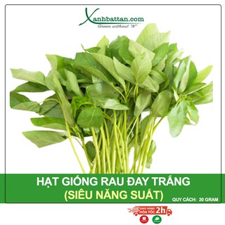 Hạt Giống Rau Đay Cao Sản Phú Nông Gói 20 Gram