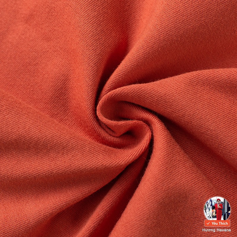 Quần lót nữ cotton HAVANA viền ren - quần chip nữ giá rẻ FLQ43 | BigBuy360 - bigbuy360.vn