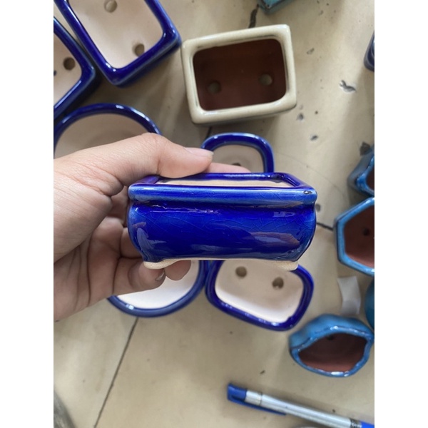 Chậu tàu trồng cây bonsai mini bình dân đồng giá 55k