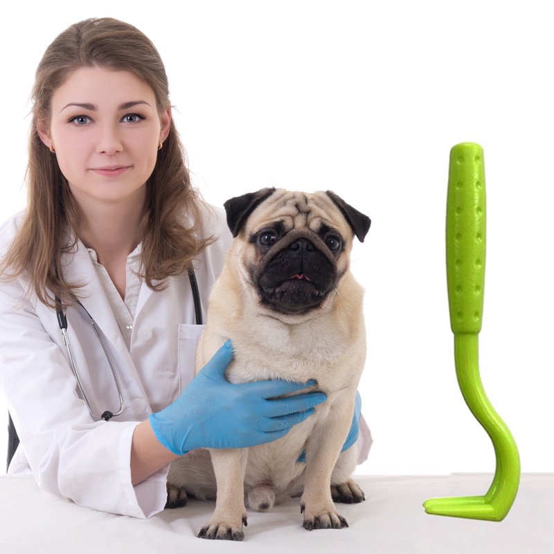 Set 3 Dụng Cụ Bắt Chấy Rận Cho Thú Cưng