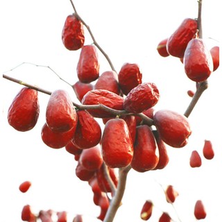 1kg Táo đỏ Tân Cương