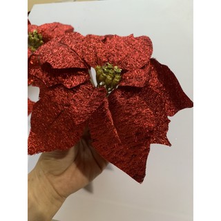 Hoa Giáng Sinh kim sa size to 20cm Trang trí Noel