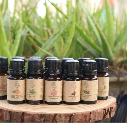Tinh dầu Hoa Sen Mộc Nhiên Nguyên Chất 100% chính hãng