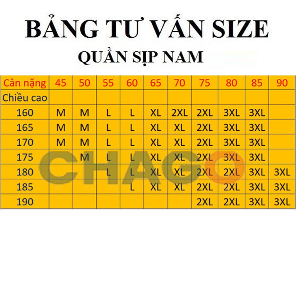 Quần sịp nam thông hơi hàng loại 1 xuất Nhật, quần lót nam lưới đẹp có size to CHAGO SIP008