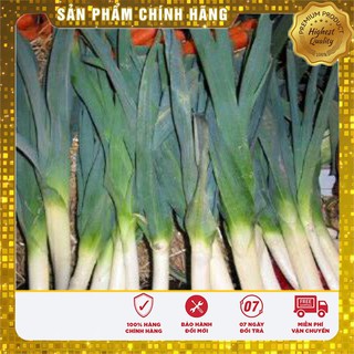Hạt Giống Tỏi Tây(1gr)
