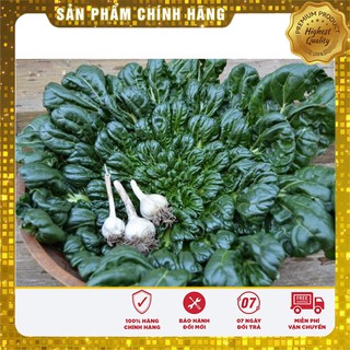 Bộ gói hạt giống Cải Hoa Hồng