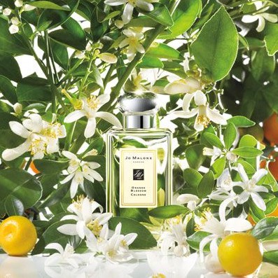 ✨𝐓𝐢𝐞𝐦𝐧𝐮𝐨𝐜𝐡𝐨𝐚✨ Nước hoa J.o Ma.lone Orange Blossom Cologne 10ml ✨