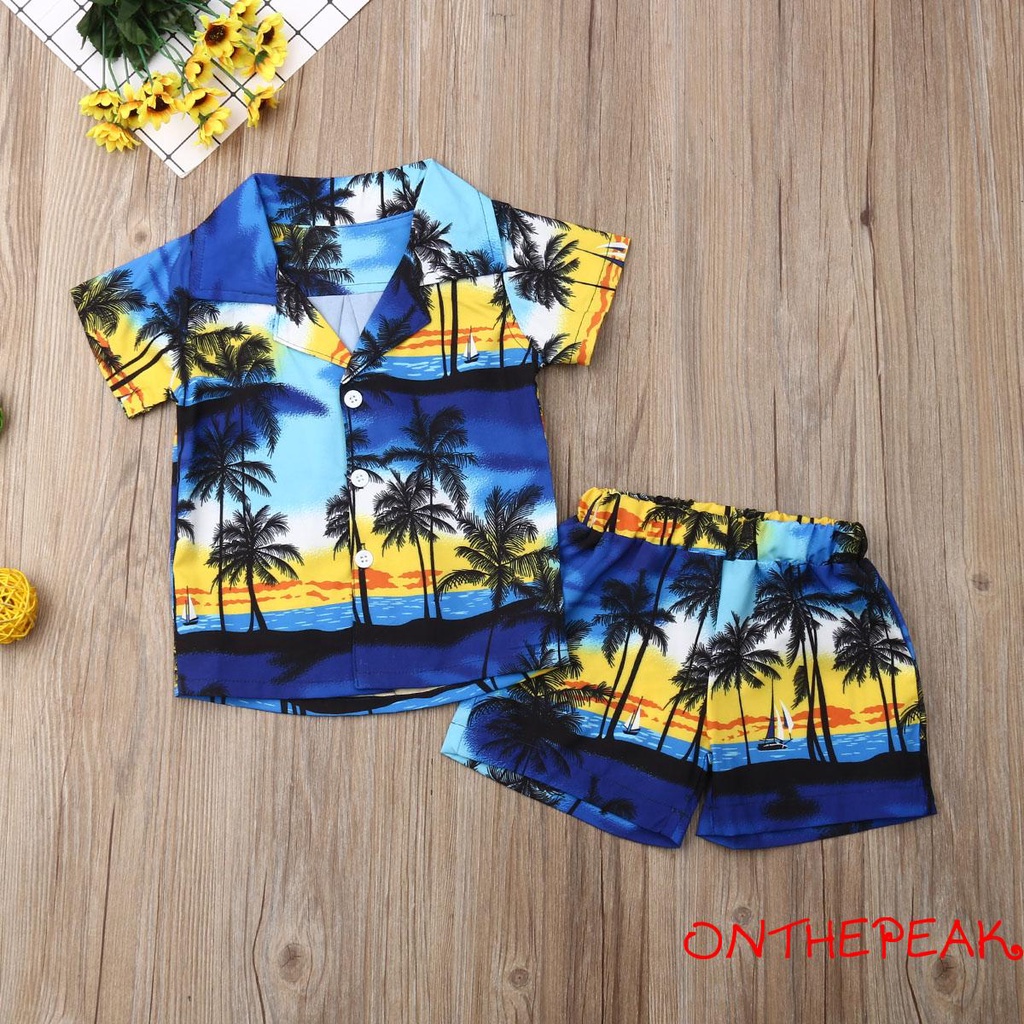 Bộ Đồ Đi Biển 2 Mảnh In Hình Hawaii Cho Bé Trai Từ 1-6 Tuổi