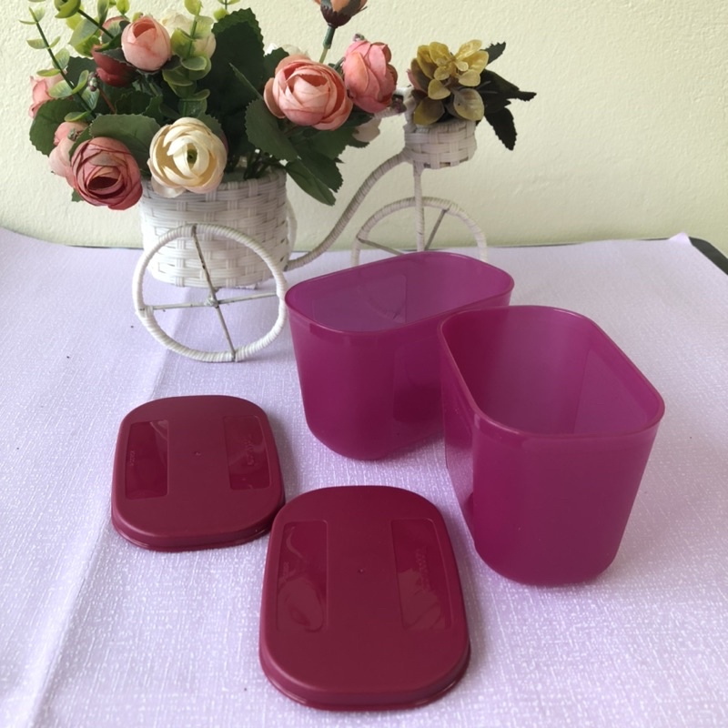 Tupperware Hộp Đựng Thực Phẩm Bảo Quản Trữ Đông Trữ Mát Tủ Lạnh Hộp Nhựa Nguyên Sinh Cao Cấp 300ml - Lamian Home & Decor