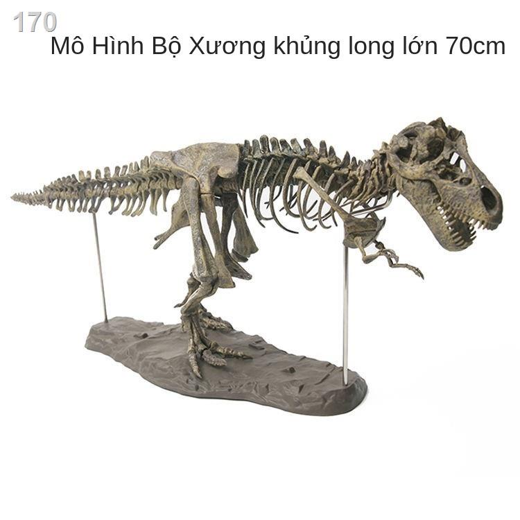 ❏ ❈ ♘ Đồ trang trí bộ xương khủng long lớn mô phỏng hình được lắp ráp trong kỷ Jura hóa thạch rồng Tyrannosaurus r