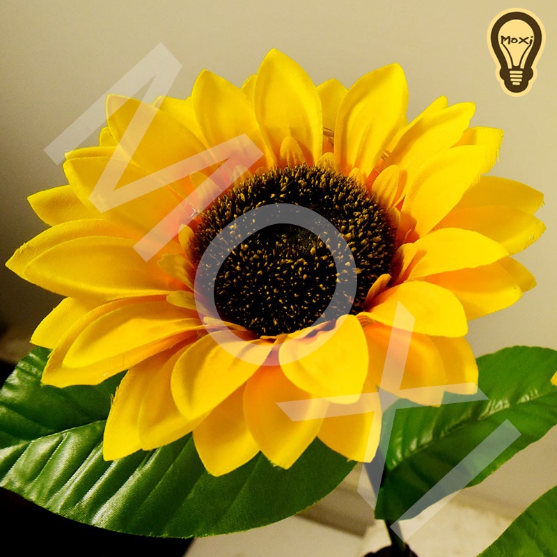 【LOẠI 1】Đèn LED Năng Lượng Mặt Trời Chống Thấm Nước Hình Hoa Hướng Dương Dùng Trang Trí decor Sân Vườn , ban công MOXI.