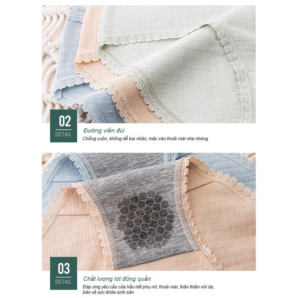 Quần Lót Nữ Cotton Kháng Khuẩn Phong Cách Nhật Bản Thông Khí Thấm Hút Mồ Hôi Mềm Mại Co Giãn Tốt P404 | BigBuy360 - bigbuy360.vn