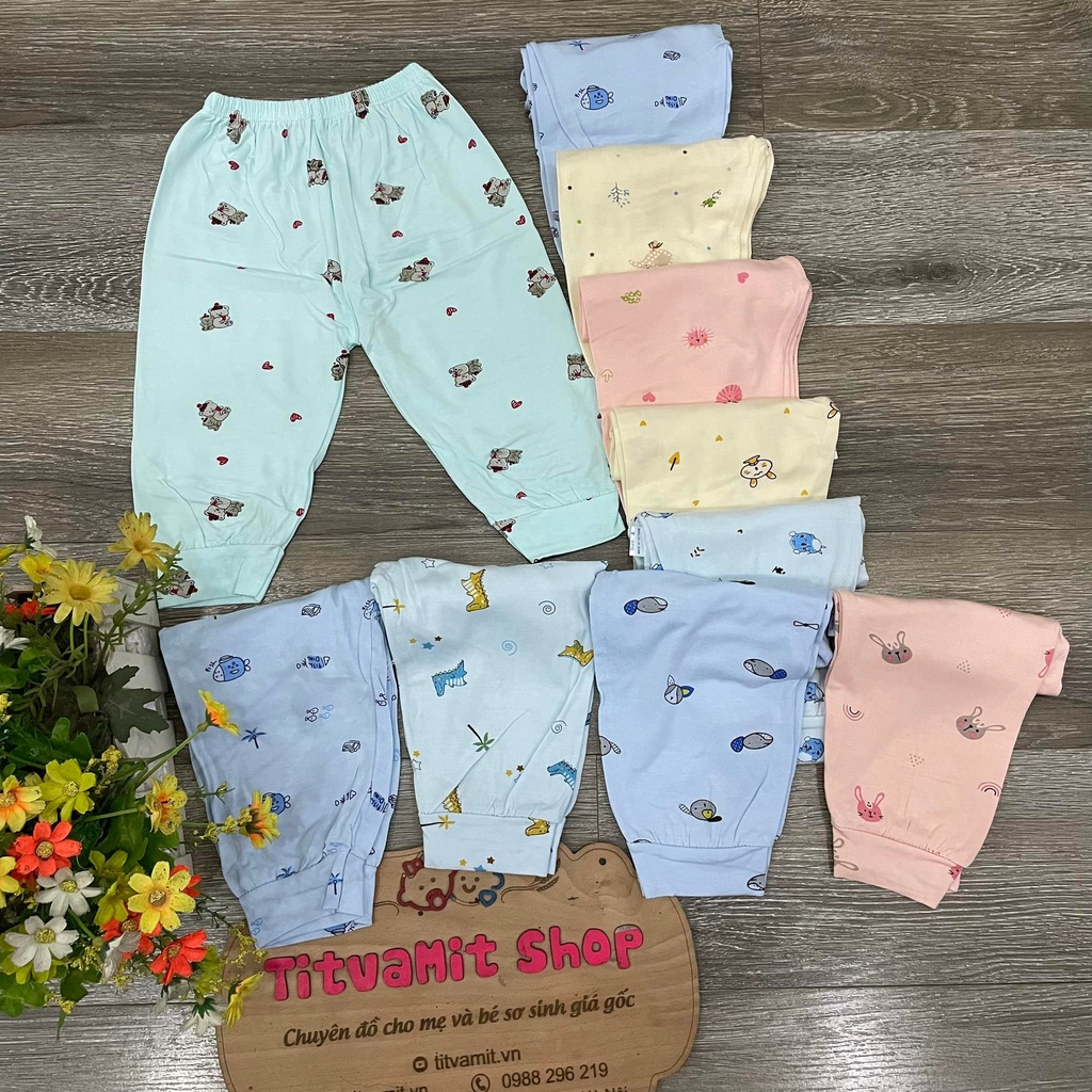 Quần dài peptit hoạ tiết nền màu, quần dài cho bé sơ sinh