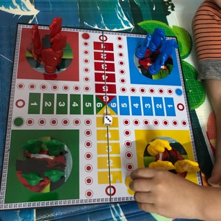 SỈ CỜ CÁ NGỰA CÓ NAM CHÂM