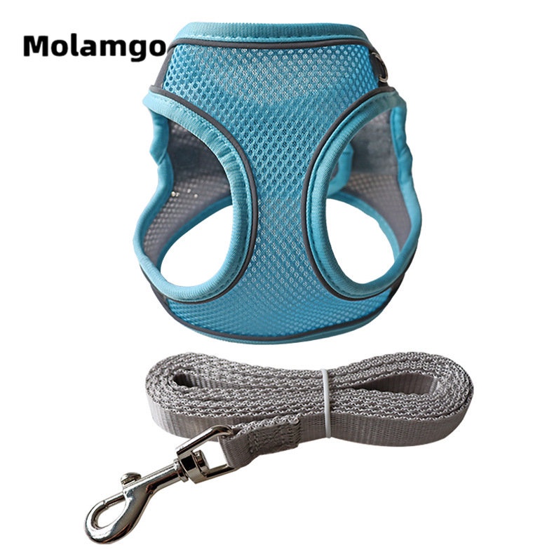 Dây Dắt Thú Cưng Phản Quang Thoáng Khí Kèm Dây Dắt