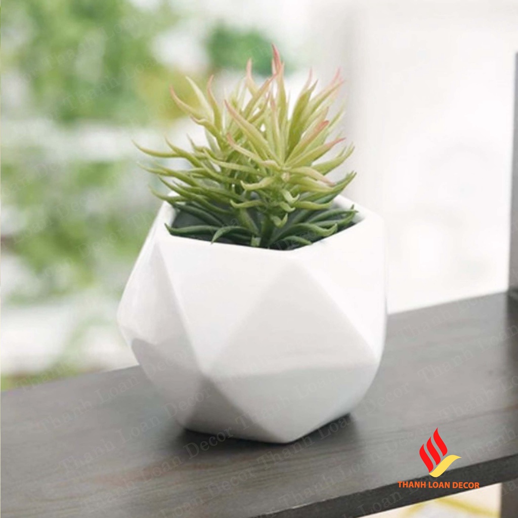 Chậu sứ mini Bát Tràng - Trồng sen đá, xương rồng để bàn xinh xắn - Màu trắng