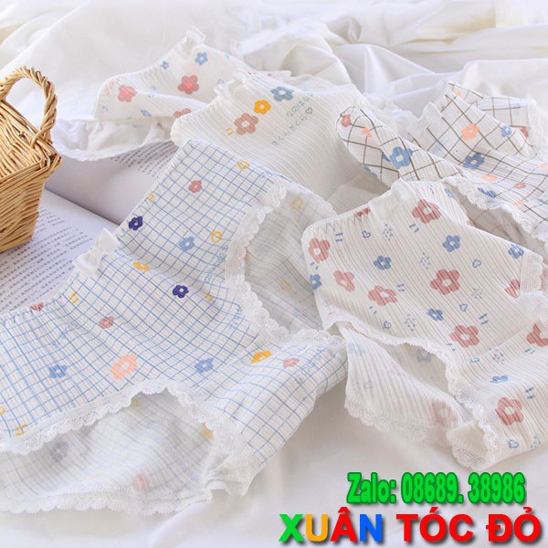 SỈ ZALO RẺ HƠN NHIỀU_ Quần Lót 5 Kiểu Hoa Anh Đào Cực Đẹp 5105