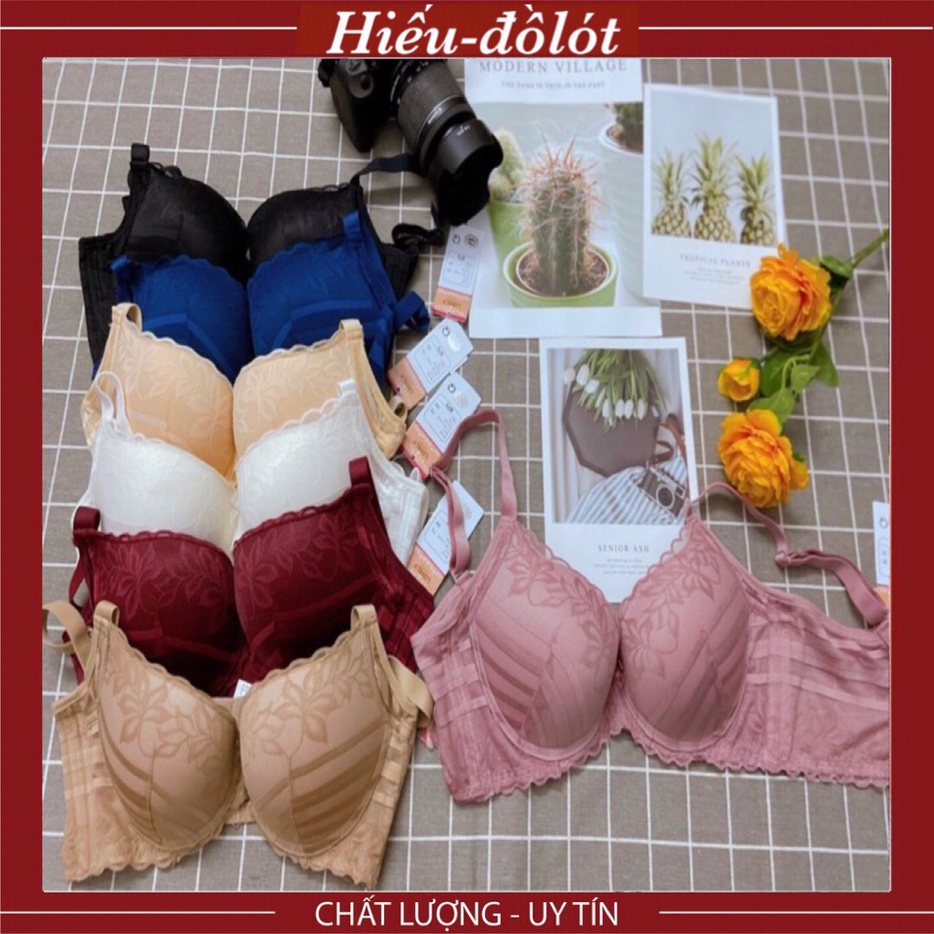 Áo Ngực Nữ Cotton Ren Lovely Đệm Siêu Nâng 4.5cm ⚡FreeShip⚡ Dây Lưng Bản To 4 Móc Cài Cao Cấp A1126 Hieu Store24h | BigBuy360 - bigbuy360.vn