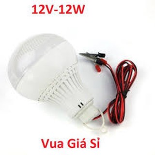 bóng đèn led xài bình 12v -12w