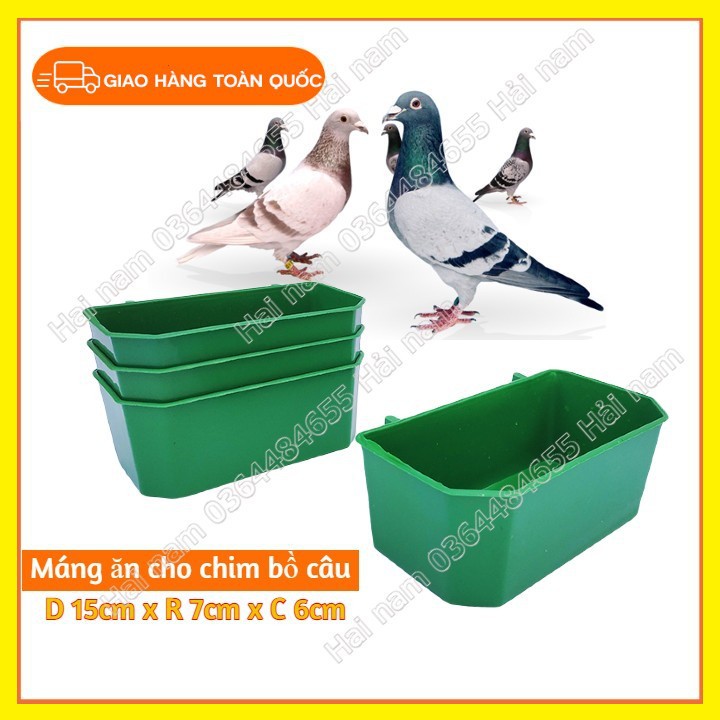 MÁNG ĐỰNG THỨC ĂN CHO GÀ _ CHIM BỒ CÂU