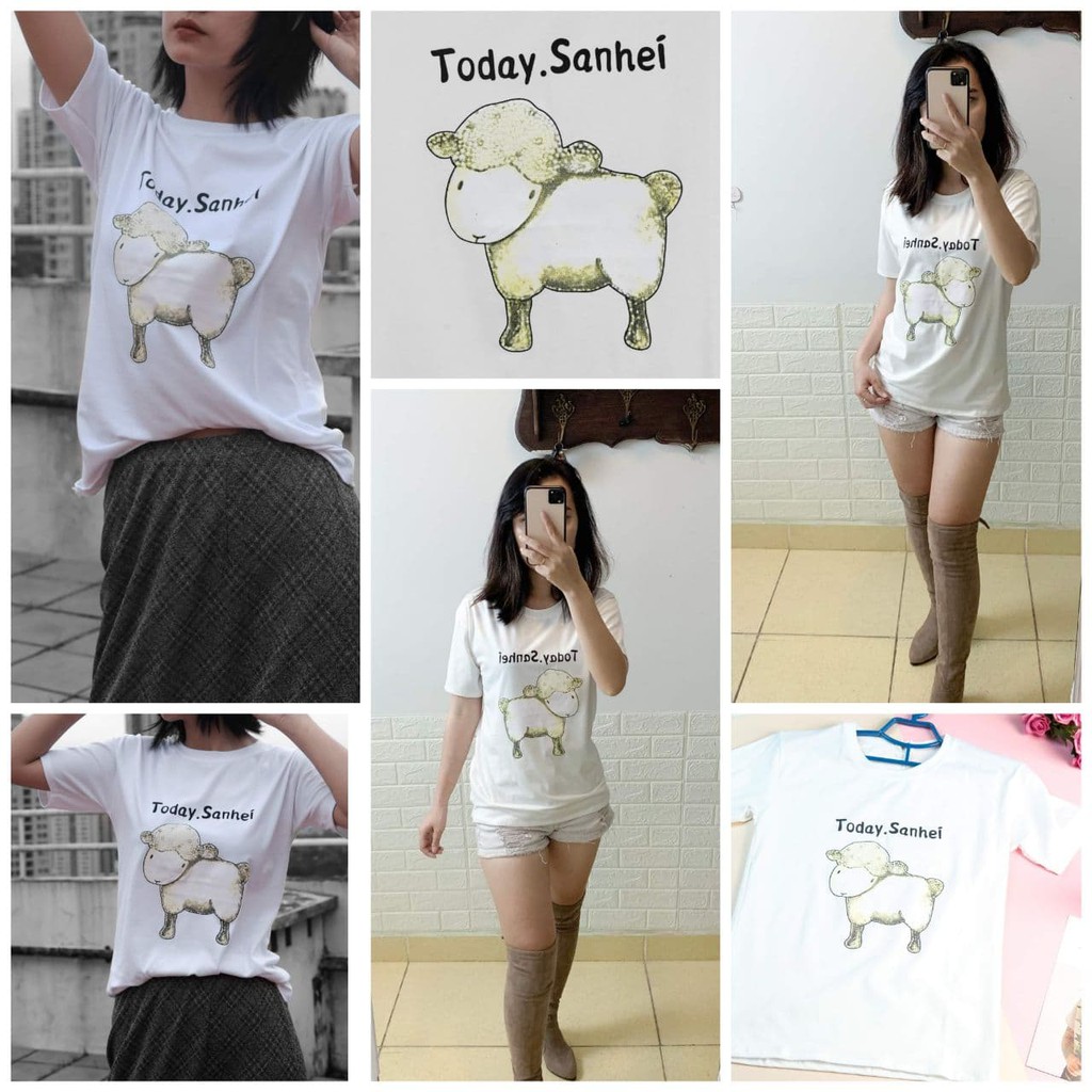 [shopee haul] ÁO THUN CỪU TRẮNG HÀNG THIẾT KẾ 100% COTTON