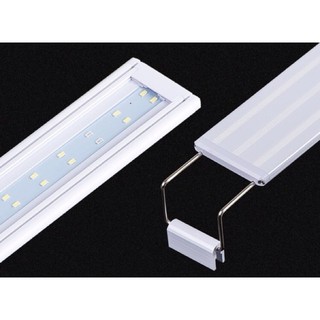 Đèn Led Ánh Sáng Trắng Bể Cá Cảnh