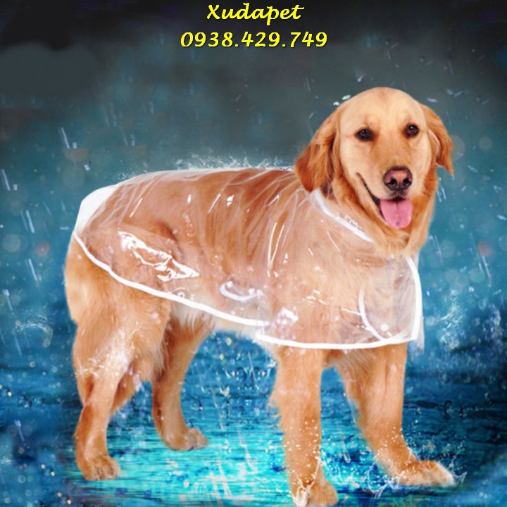 Áo Mưa Trong Suốt Cho Chó Lớn Trên 12kg giúp giữ ấm, giúp bảo vệ sức khỏe của thú cưng – Xudapet - SP005250
