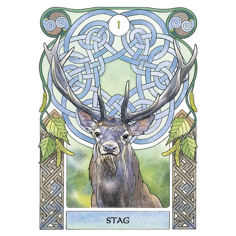Bộ Bài Celtic Astrology Oracle (Mystic House Tarot Shop) - Bài Gốc Authentic Chính Hãng 100%