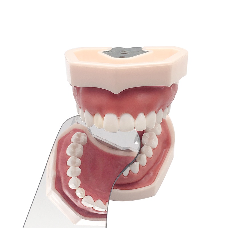 1 Gương Hai Mặt Phản Chiếu Bằng Titan Dùng Trong Nha Khoa