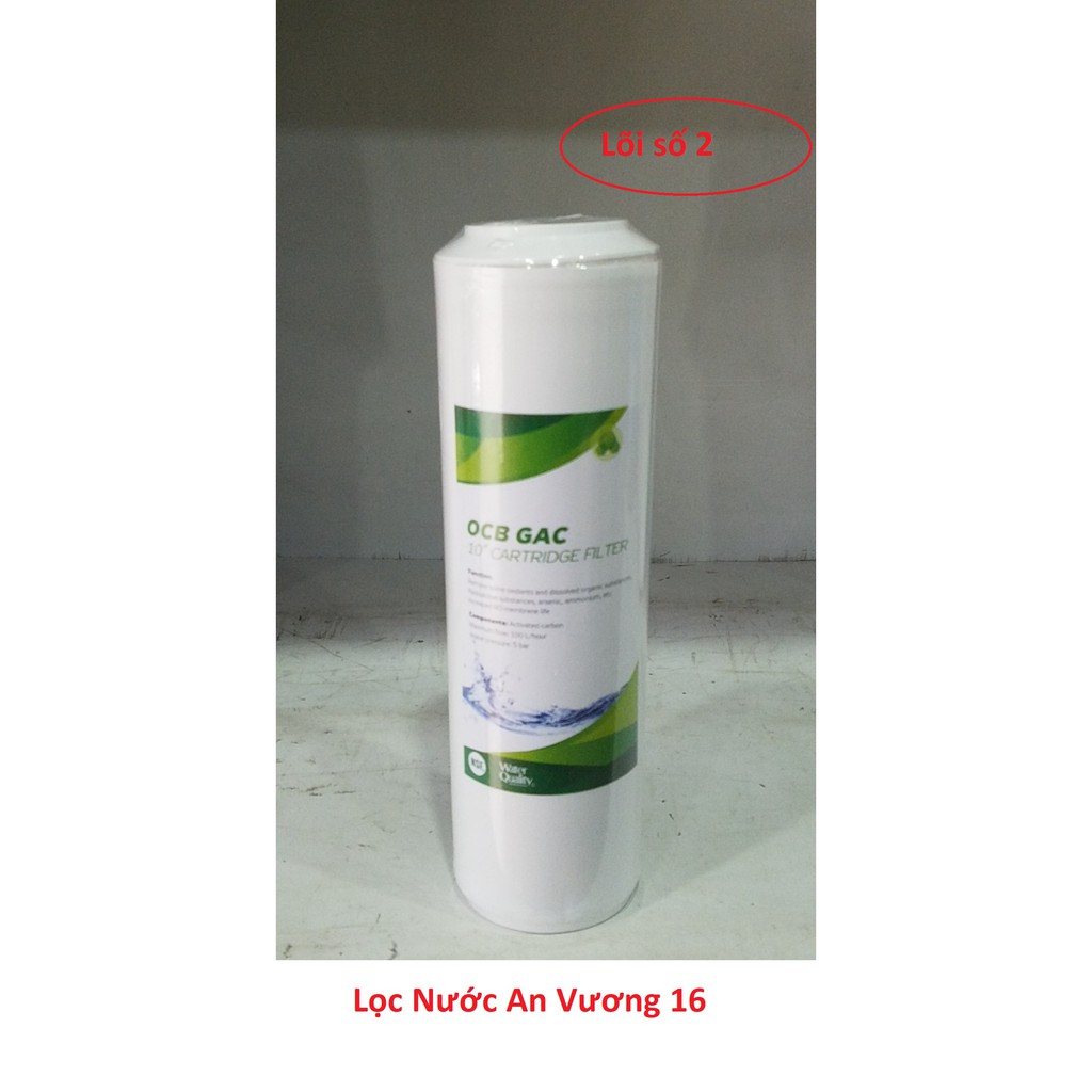 Bộ lọc nước thô đầu nguồn 10inch