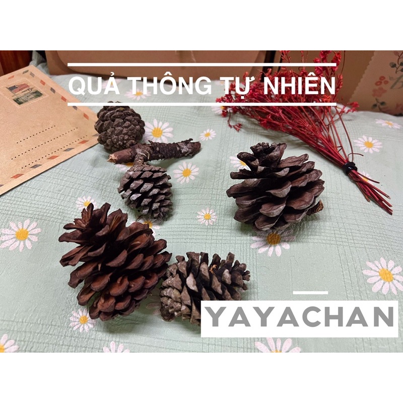 Phụ kiện trang trí hộp quà vintage nhiều món độc đáo cute