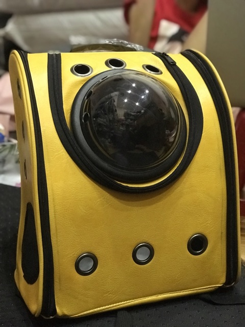 Balo da cao cấp cho thú cưng  Giá Sốc. Mèo  cún