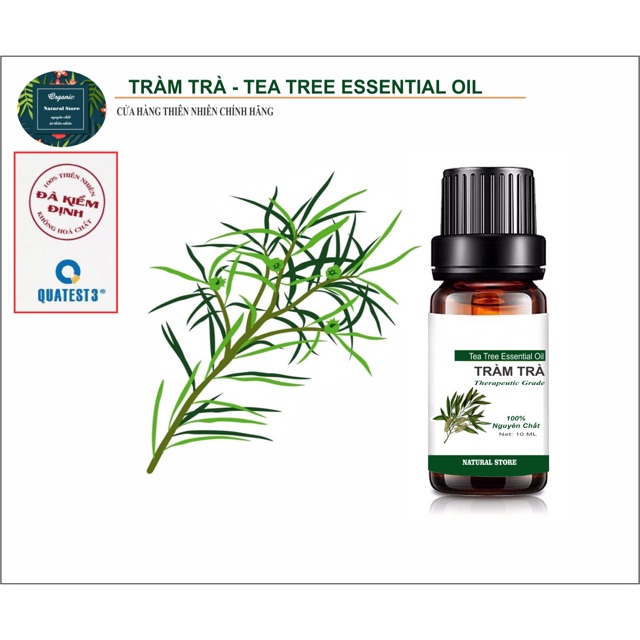 [ 10ML ] Tinh Dầu Tràm Trà 100% Organic - Chai nhỏ giọt ( Tea Tree Oil )