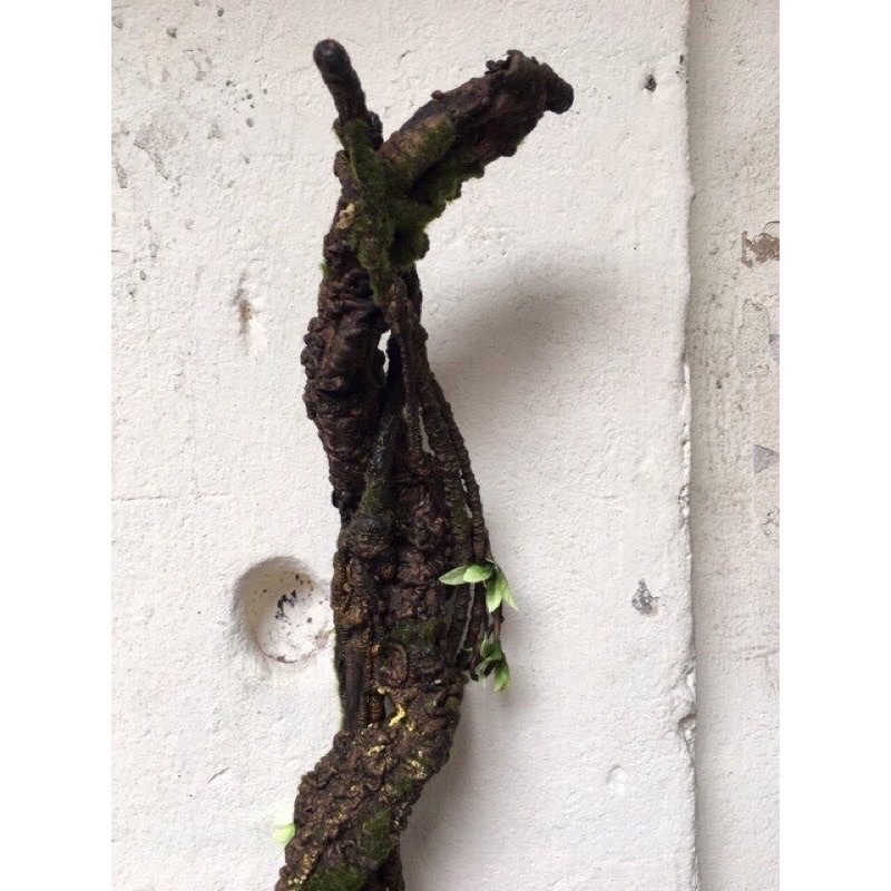 Thân Hồng giả cao 1m