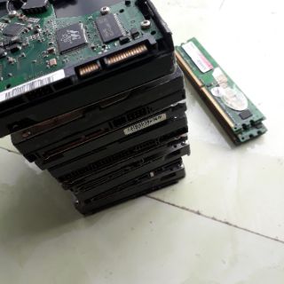 Ổ cứng 80gb tháo máy